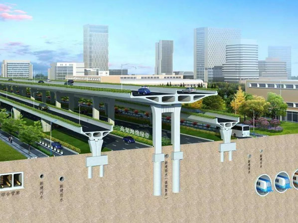 市政領域